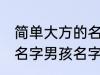 简单大方的名字男孩名字 简单大方的名字男孩名字推荐