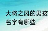 大将之风的男孩名字 大将之风的男孩名字有哪些