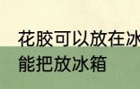 花胶可以放在冰箱冷藏室里吗 花胶不能把放冰箱