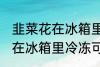 韭菜花在冰箱里冷冻能放多久 韭菜花在冰箱里冷冻可以放多长时间