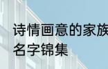 诗情画意的家族名字 诗情画意的家族名字锦集