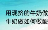 用现挤的牛奶做怎么做酸奶 用现挤的牛奶做如何做酸奶