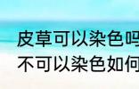 皮草可以染色吗皮草怎么改色 皮草可不可以染色如何改色