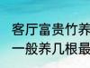 客厅富贵竹养几支最旺运 水养富贵竹一般养几根最旺财