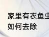 家里有衣鱼虫怎么去除 家里有衣鱼虫如何去除