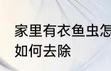 家里有衣鱼虫怎么去除 家里有衣鱼虫如何去除