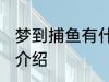 梦到捕鱼有什么兆头 梦见捕鱼的寓意介绍