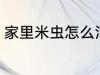 家里米虫怎么消灭 家里米虫如何消灭