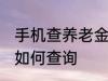 手机查养老金怎么查询 手机查养老金如何查询