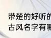 带楚的好听的古风名字 带楚的好听的古风名字有哪些