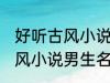 好听古风小说男生名字 韵味十足的古风小说男生名字