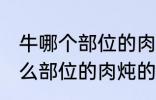 牛哪个部位的肉炖的牛肉汤好喝 牛什么部位的肉炖的牛肉汤好喝