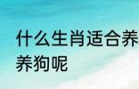 什么生肖适合养狗 到底哪些生肖适合养狗呢