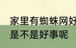 家里有蜘蛛网好事坏事 家里有蜘蛛网是不是好事呢