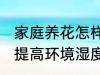 家庭养花怎样提高环境湿度 家庭养花提高环境湿度的技巧