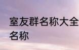 室友群名称大全 幸福又温馨的室友群名称