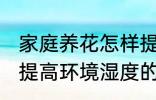 家庭养花怎样提高环境湿度 家庭养花提高环境湿度的技巧