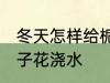 冬天怎样给栀子花浇水 冬天如何给栀子花浇水